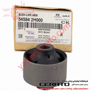 بوش طبق بزرگ سراتو