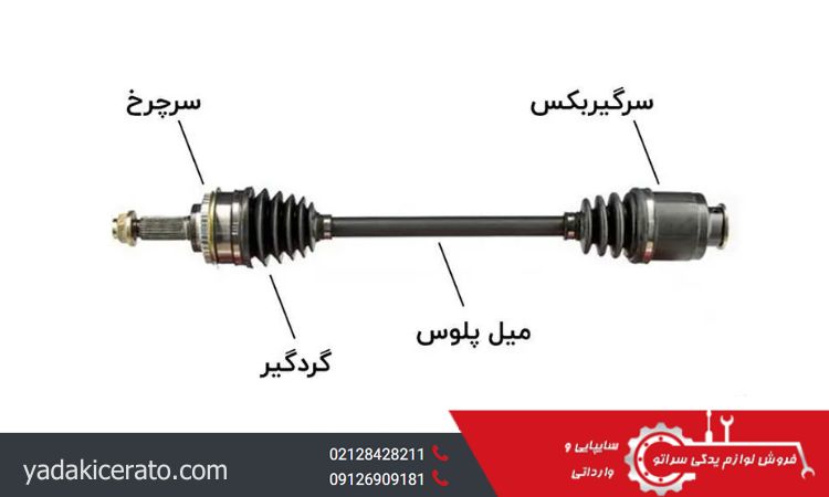 چرا باید در صورت مشاهده این علائم سریعاً اقدام کرد؟