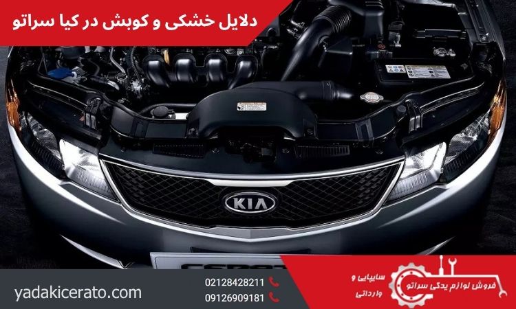 دلایل خشکی و کوبش در کیا سراتو